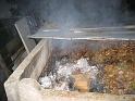 bild (5)